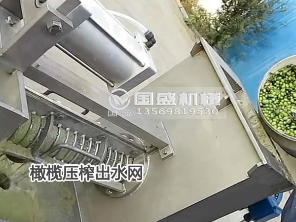 91免费破解版橄欖脫水機