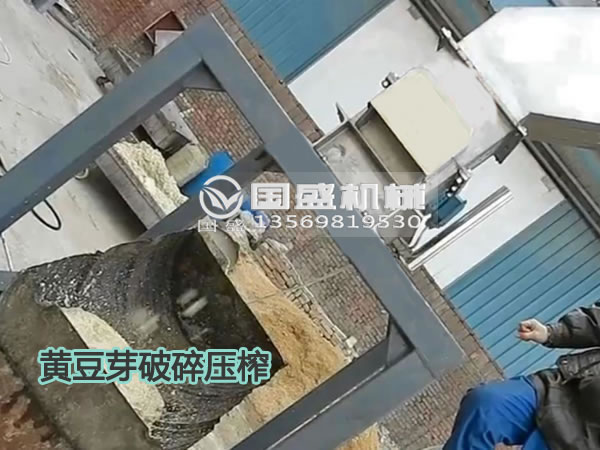 91免费破解版黃豆芽固液分離機