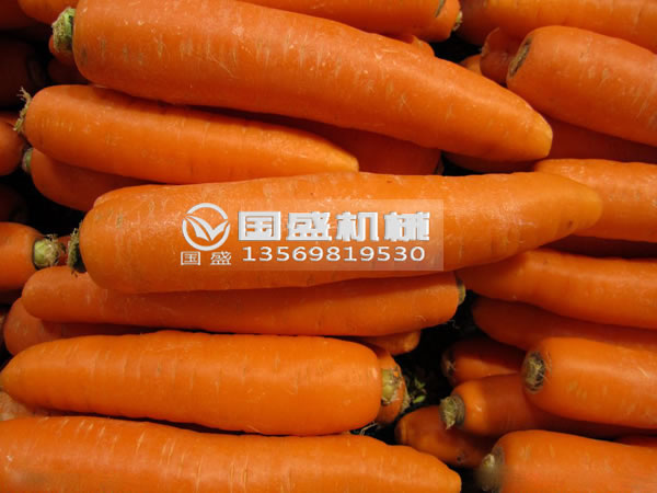 91免费破解版胡蘿卜脫水擠壓機