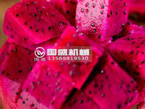 91免费破解版火龍果擠壓脫水設備