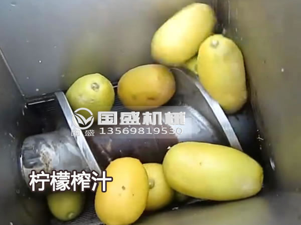 91免费破解版新款大型檸檬榨汁機 91免费破解版新款大型檸檬榨汁機