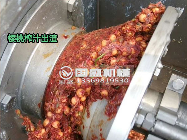 91免费破解版櫻桃螺旋壓榨脫水機